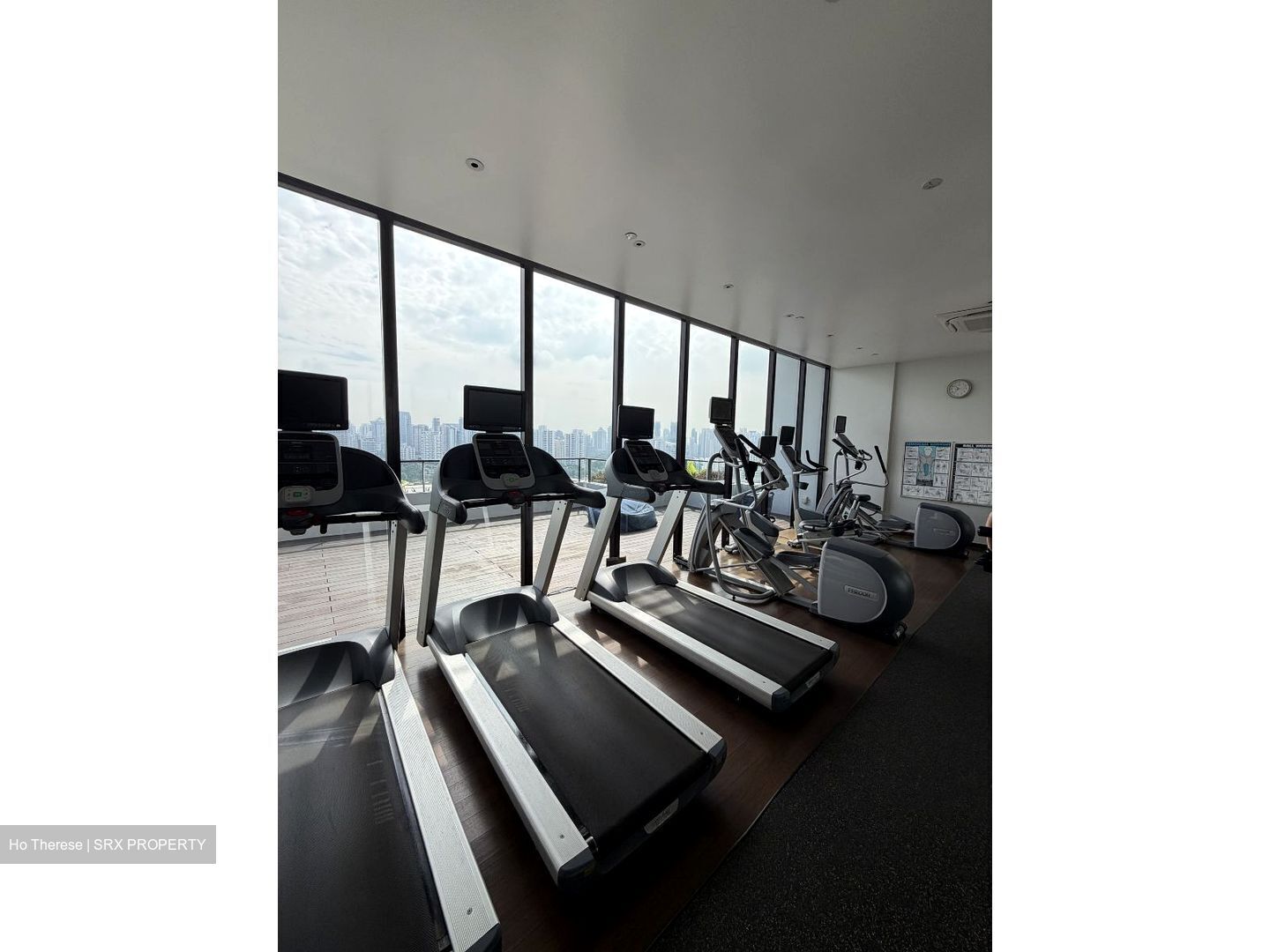 The Crest (D3), Condominium #560275771